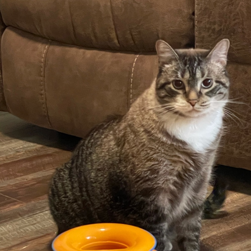 Meet your Posher, Christina